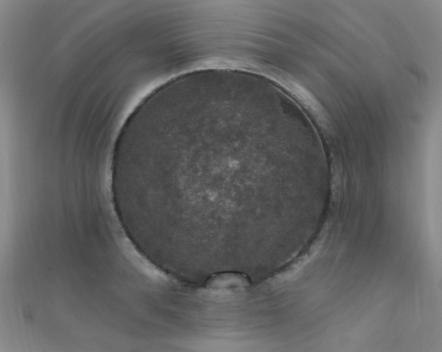 X0000111590896200907161451