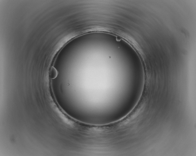 X0000111590898200907161451