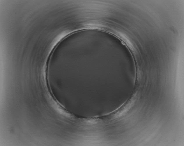 X0000111590899200907161451