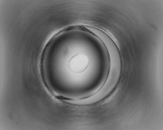 X0000111590901200907161451