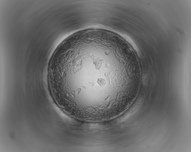 X0000111590903200907161451