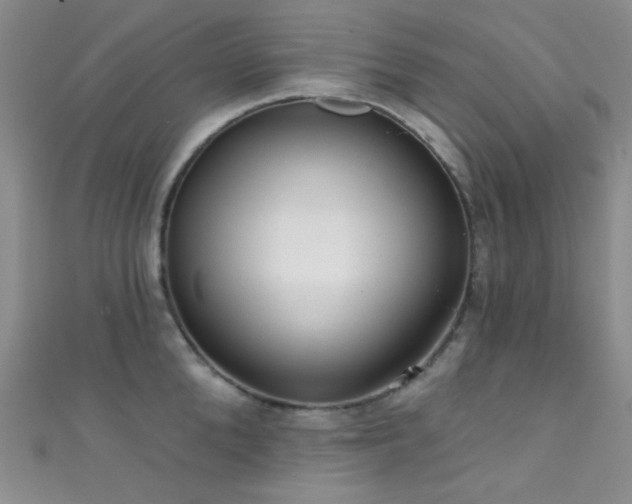 X0000111590904200907161451