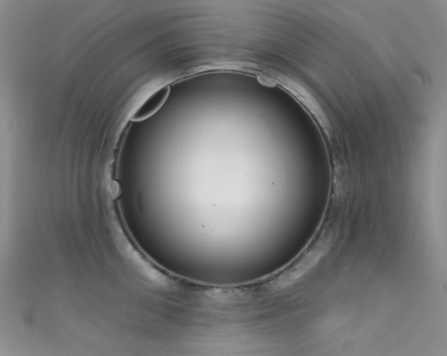 X0000111590906200907161451