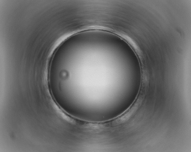 X0000111590910200907161451