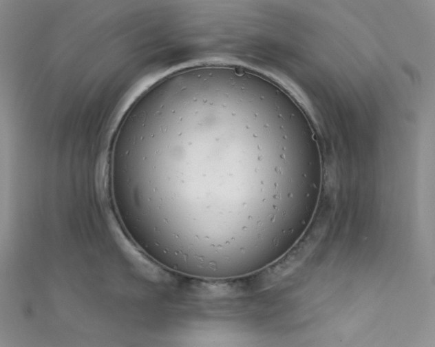 X0000111590911200907161451