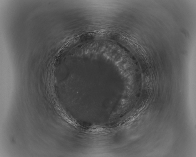 X0000111590913200907161450