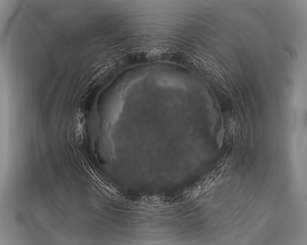 X0000111590914200907161450