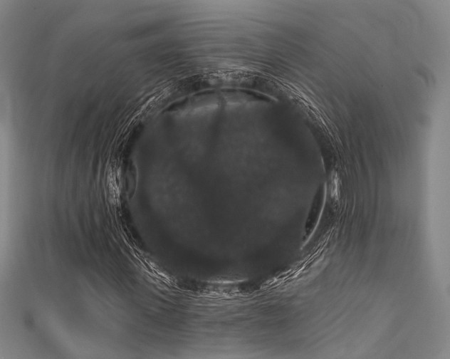 X0000111590915200907161450