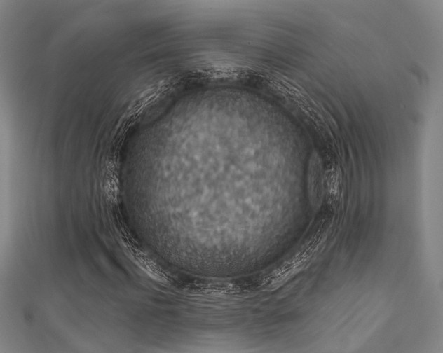 X0000111590916200907161450