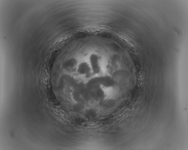 X0000111590917200907161450