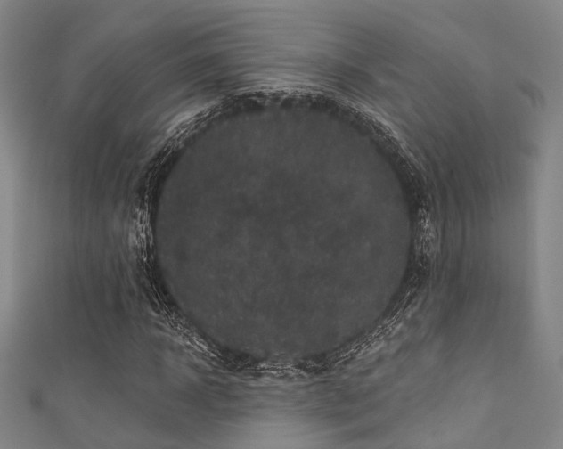 X0000111590918200907161450