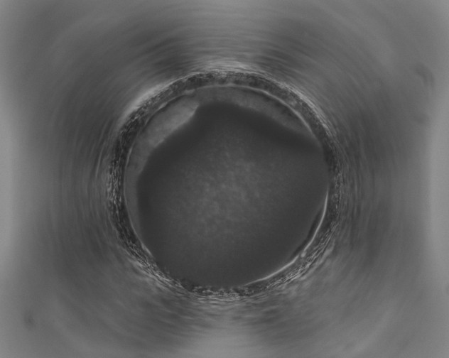 X0000111590919200907161450