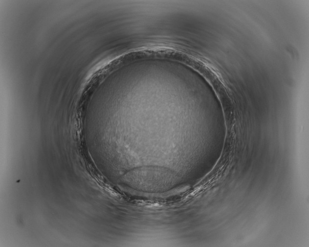 X0000111590920200907161450