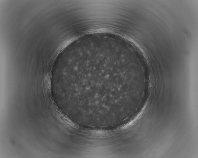 X0000111590921200907161450