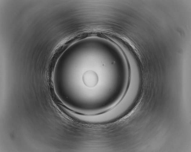 X0000111590922200907161450