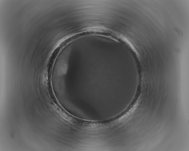 X0000111590923200907161450