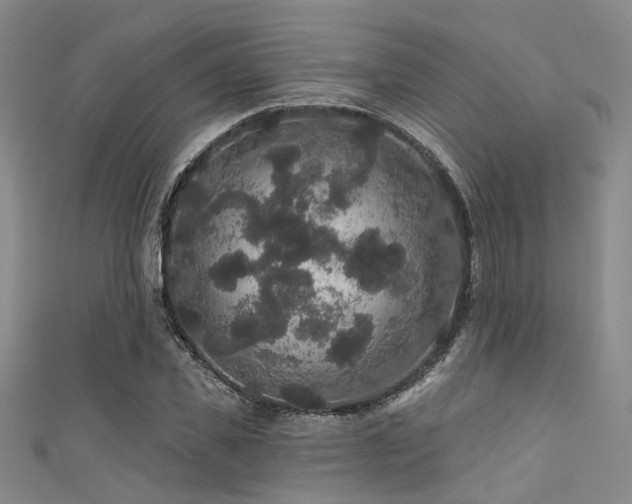 X0000111590925200907161450