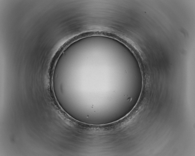 X0000111590927200907161450