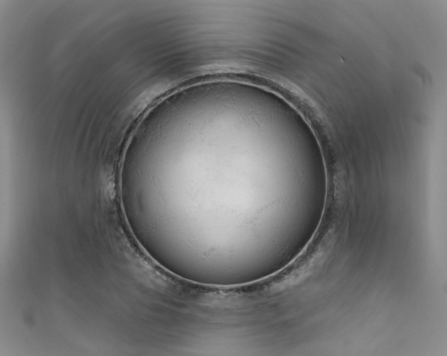 X0000111590929200907161450