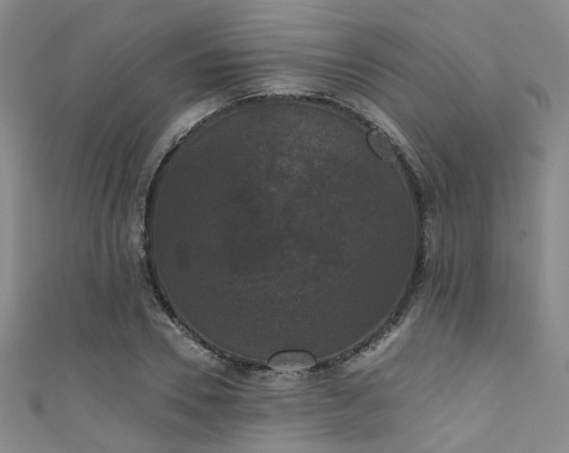 X0000111590930200907161450