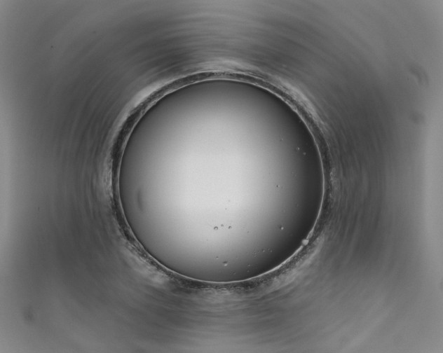 X0000111590931200907161450