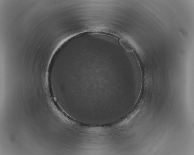 X0000111590932200907161450