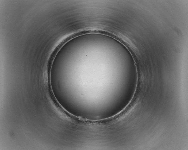 X0000111590934200907161450