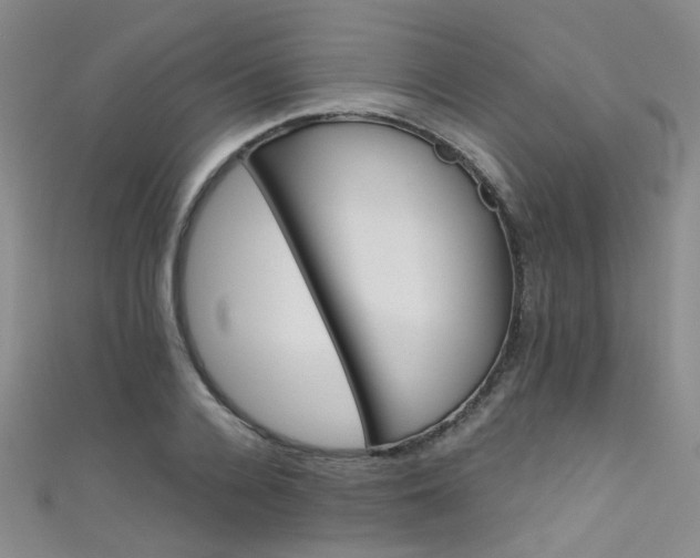 X0000111590936200907161450