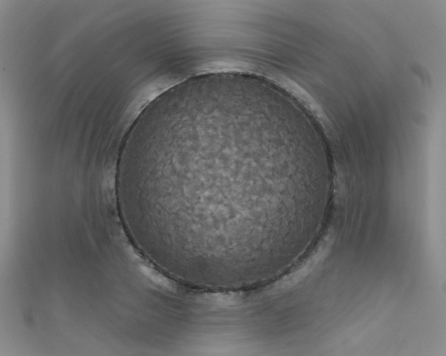 X0000111590937200907161450