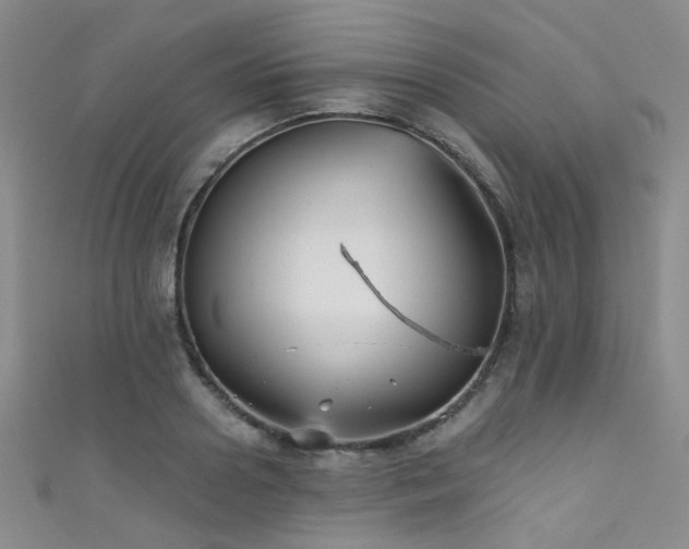 X0000111590938200907161450