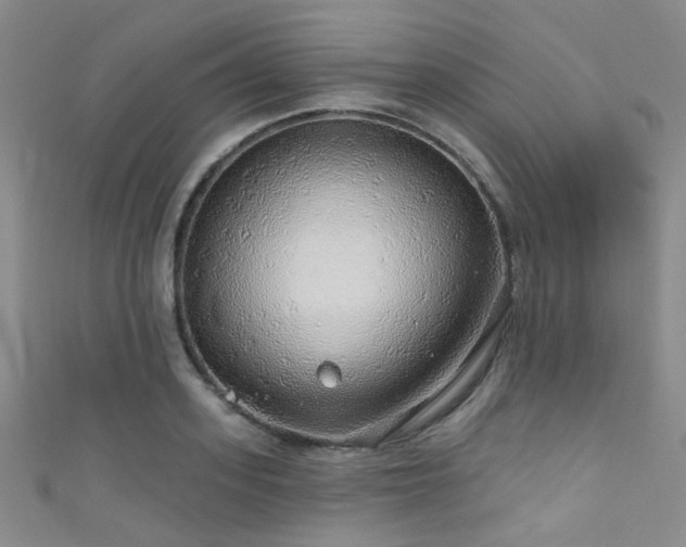 X0000111590939200907161450