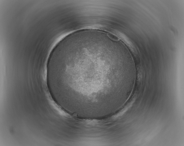 X0000111590940200907161450