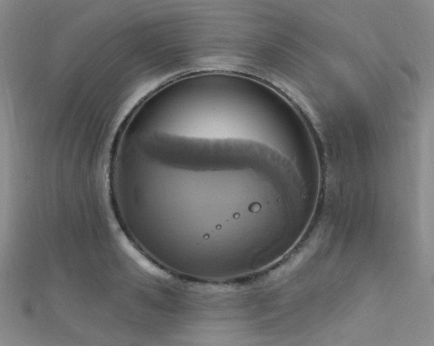 X0000111590941200907161450