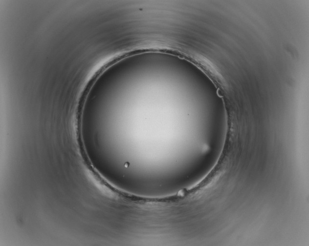 X0000111590942200907161450