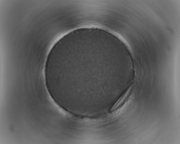 X0000111590943200907161450