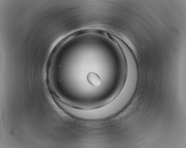 X0000111590944200907161451