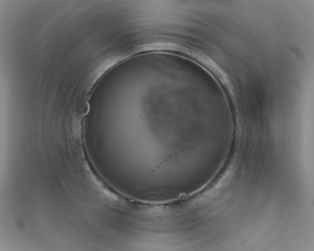 X0000111590945200907161451