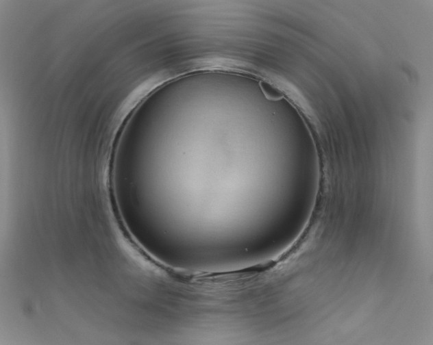 X0000111590946200907161451