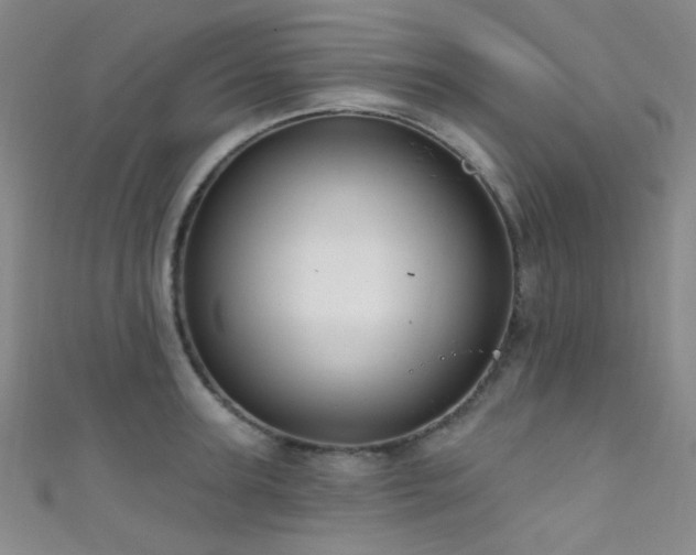 X0000111590947200907161451