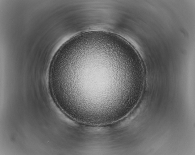 X0000111590949200907161451