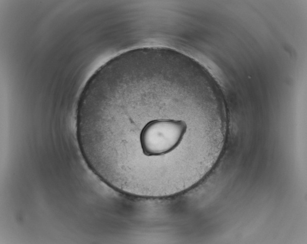 X0000111590950200907161451