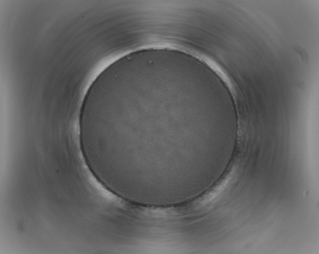 X0000111590951200907161451