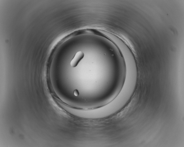 X0000111590952200907161451