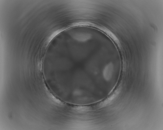 X0000111590953200907161451