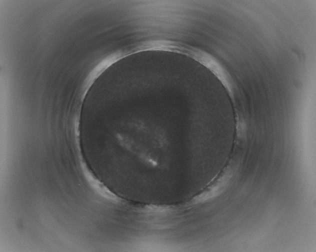 X0000111590954200907161451