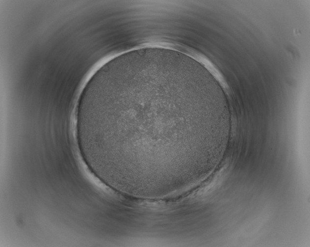 X0000111590955200907161451