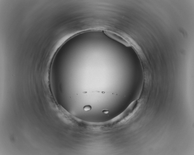 X0000111590956200907161451