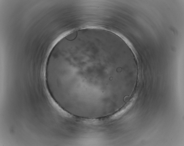 X0000111590957200907161451