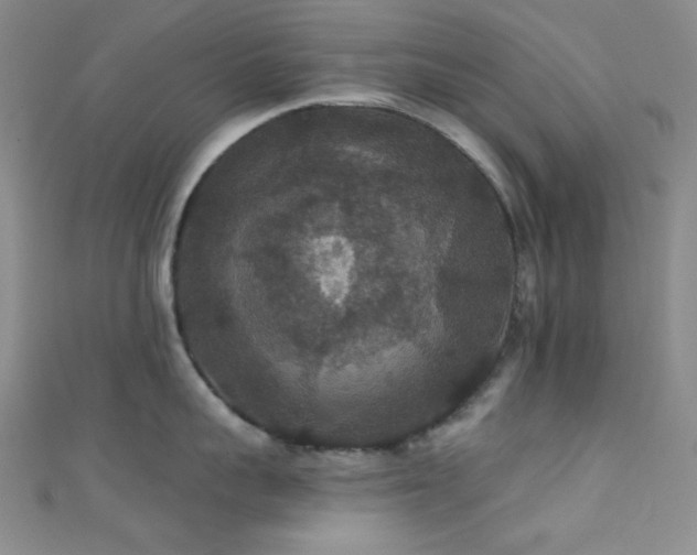 X0000111590959200907161451