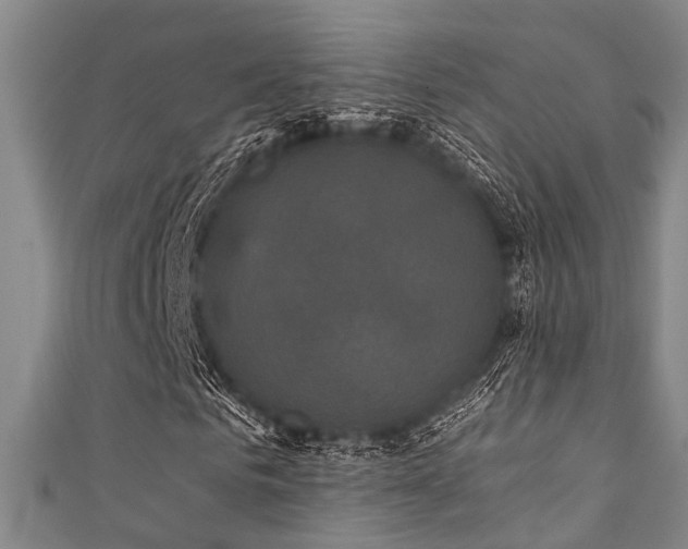 X0000111590961200907161450